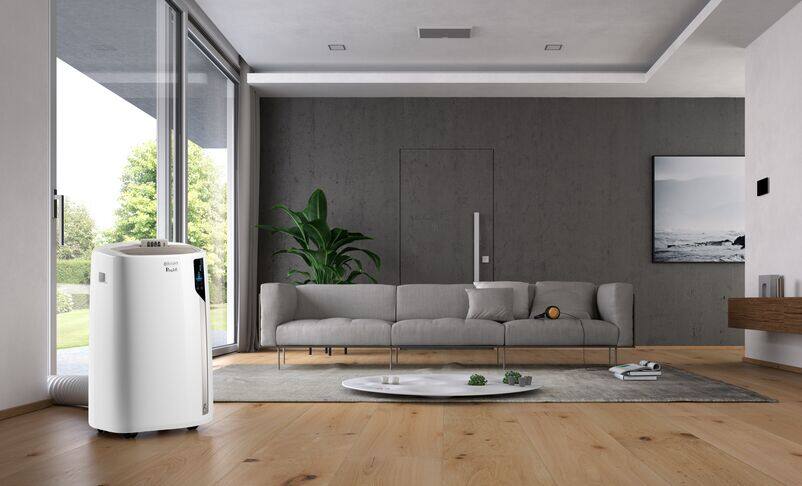 Climatiseur mobile Pinguino PAC EL110 ERF WIFI De Longhi FR